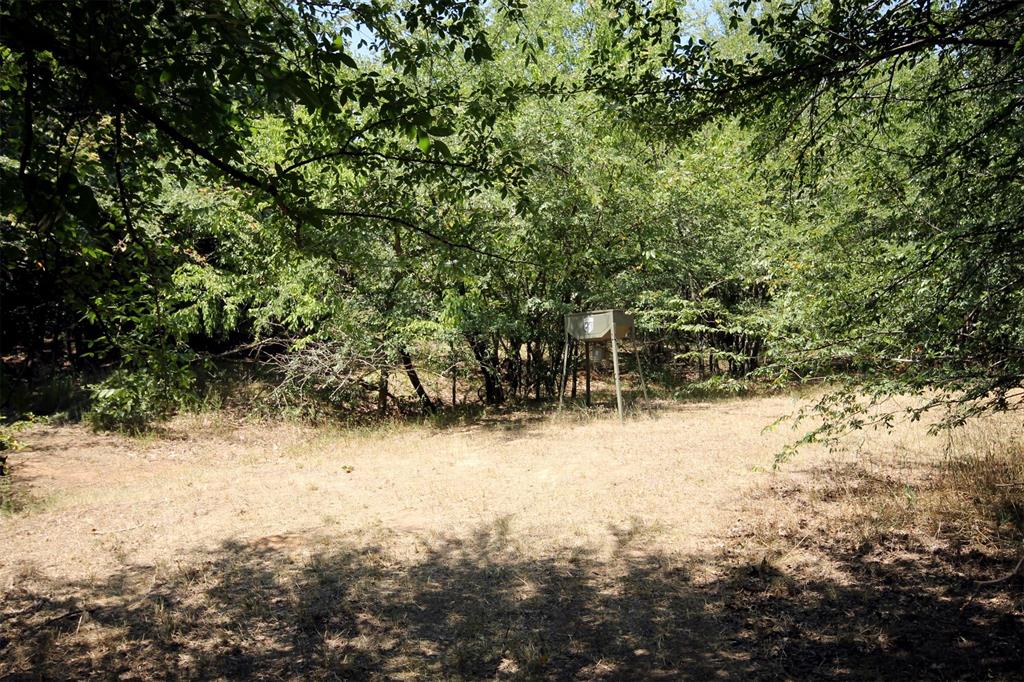 16.72-ac Joe Allen Road Pilot Point, TX 76258 - Photo 15 of 16 a view of a yard covered in snow
