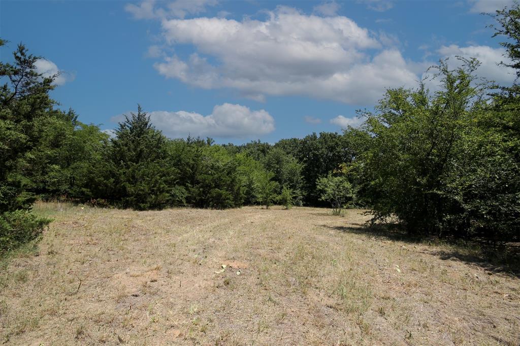 16.72-ac Joe Allen Road Pilot Point, TX 76258 - Photo 7 of 16 a view of outdoor space and yard