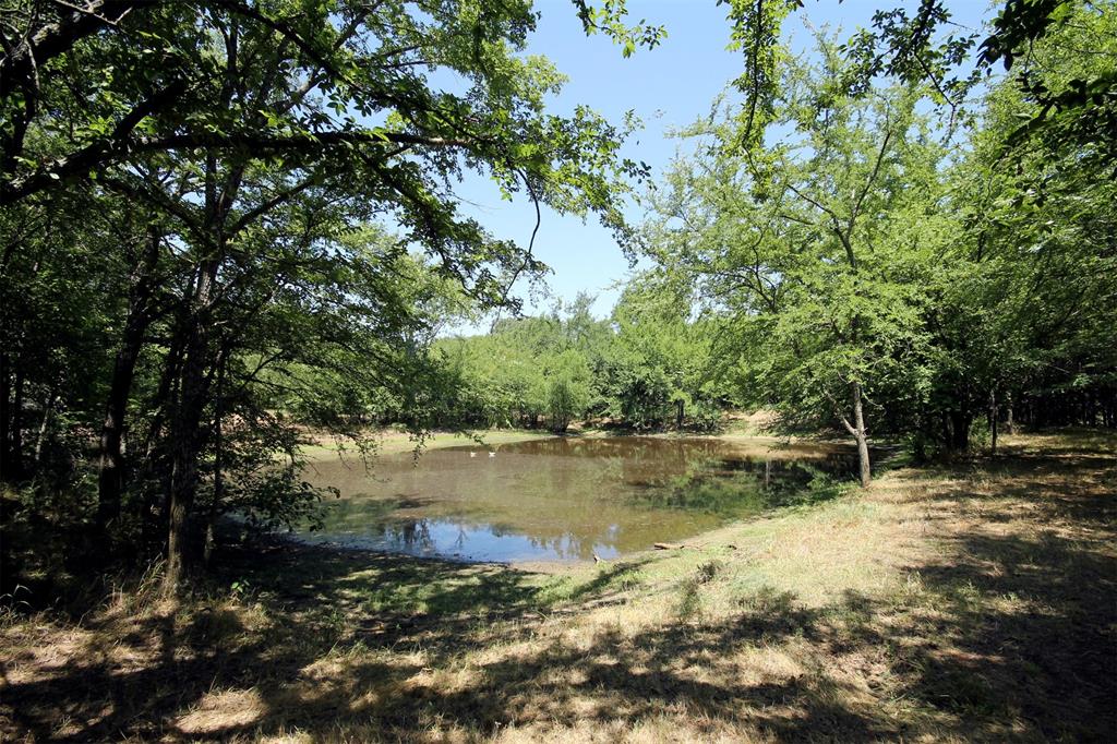 16.72-ac Joe Allen Road Pilot Point, TX 76258 - Photo 8 of 16 a view of a lake with a tree
