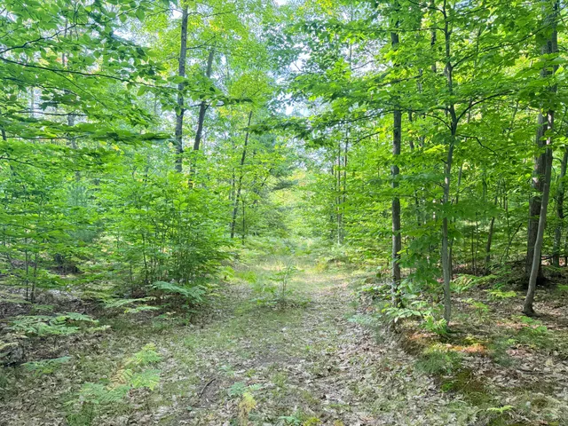 $204,900 | 3 3 Mile Road, Luther, MI 49656