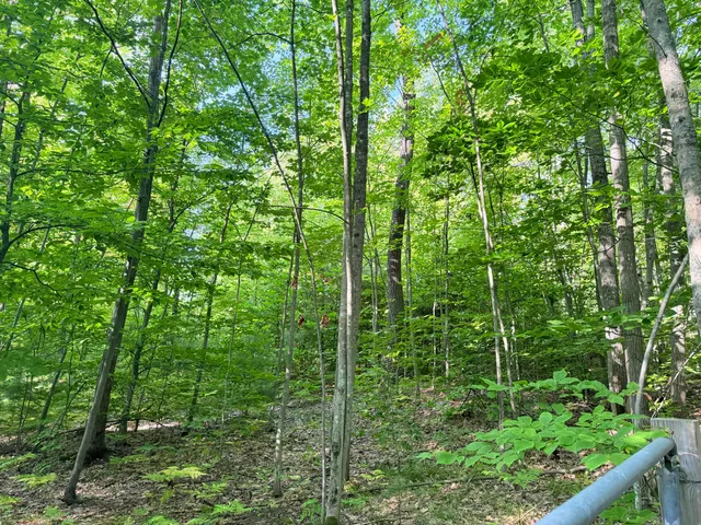 $204,900 | 3 3 Mile Road, Luther, MI 49656