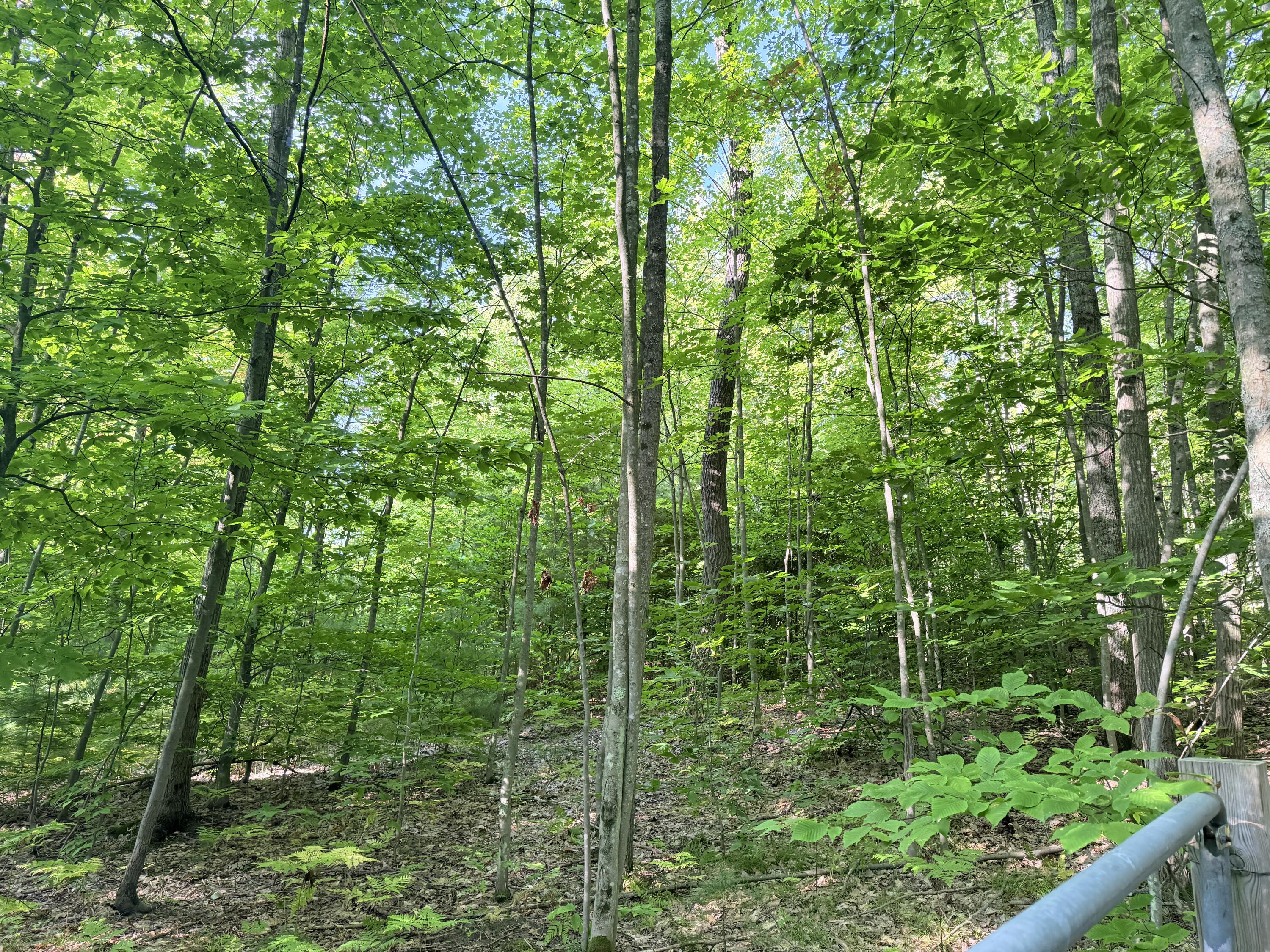 3 3 Mile Road Luther, MI 49656 - Photo 2 of 4 IMG_1203