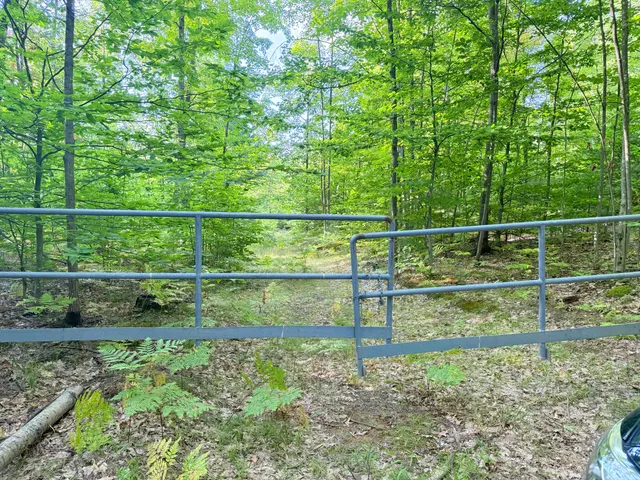 $204,900 | 3 3 Mile Road, Luther, MI 49656