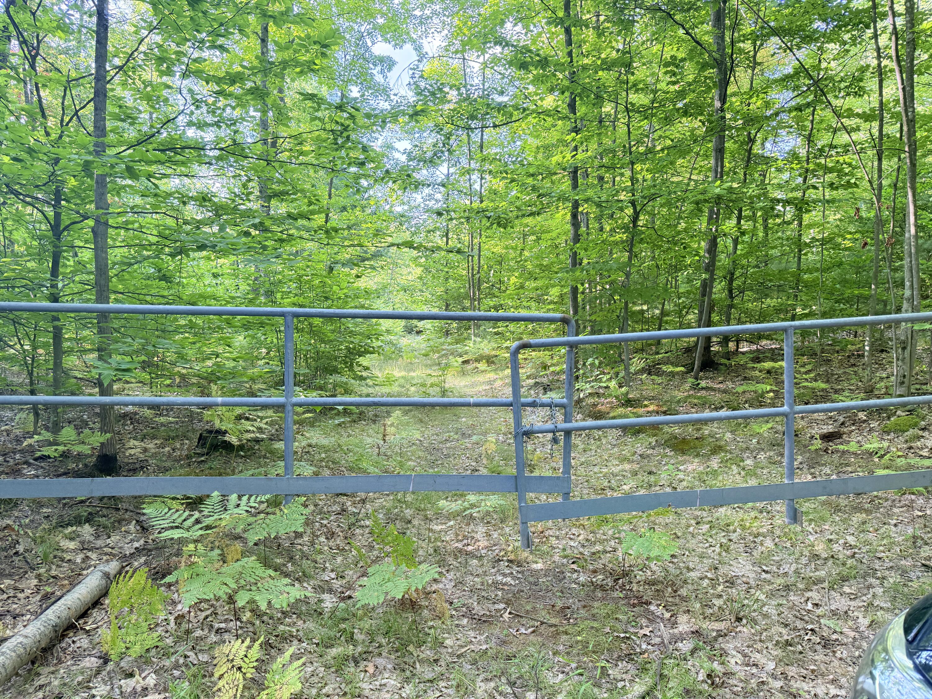 3 3 Mile Road Luther, MI 49656 - Photo 3 of 4 IMG_1201