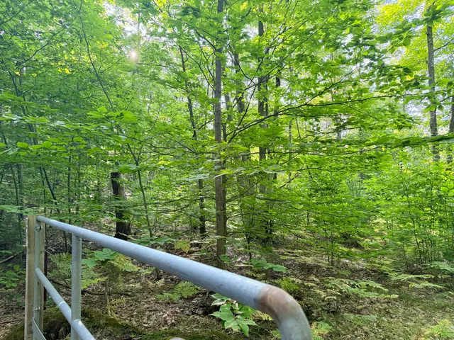 $204,900 | 3 3 Mile Road, Luther, MI 49656