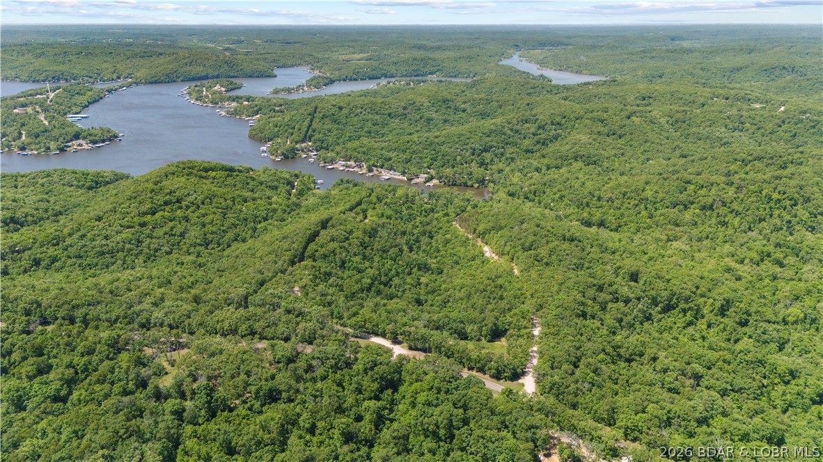 5-acres Pirates Pirates Cove Road Camdenton, MO 65020 - Photo 27 of 30