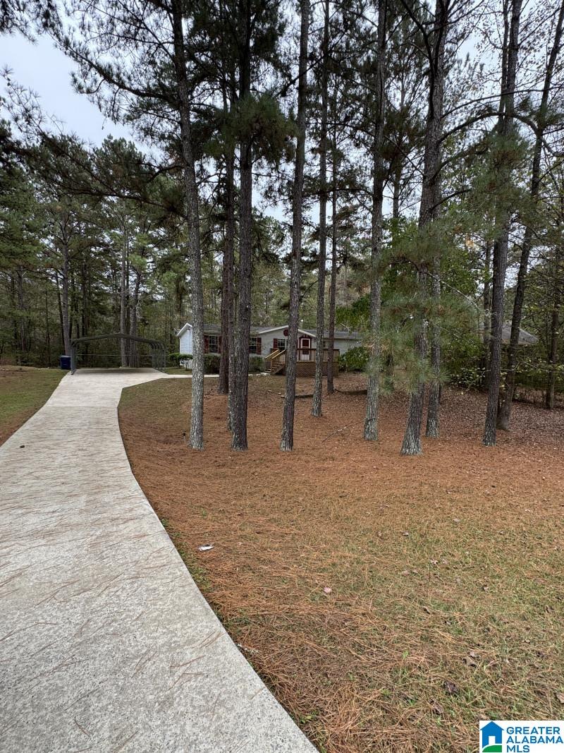 218 Sequoyah Road Pell City, AL 35128 - Photo 2 of 20 Gallery Image 2