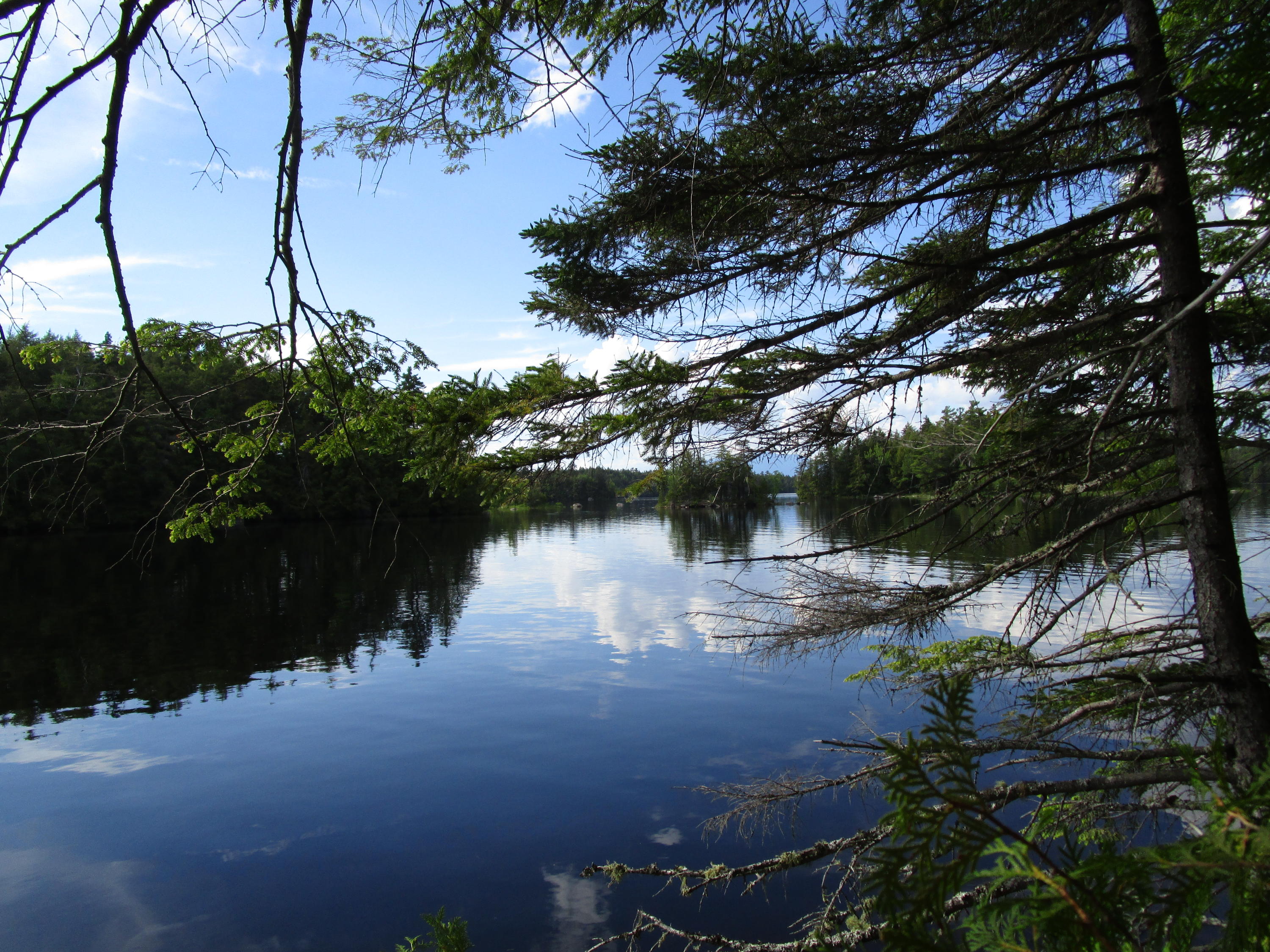 Lot#6 Elbow Lake Road Millinocket, ME 04462 - Photo 4 of 14 IMG_0704