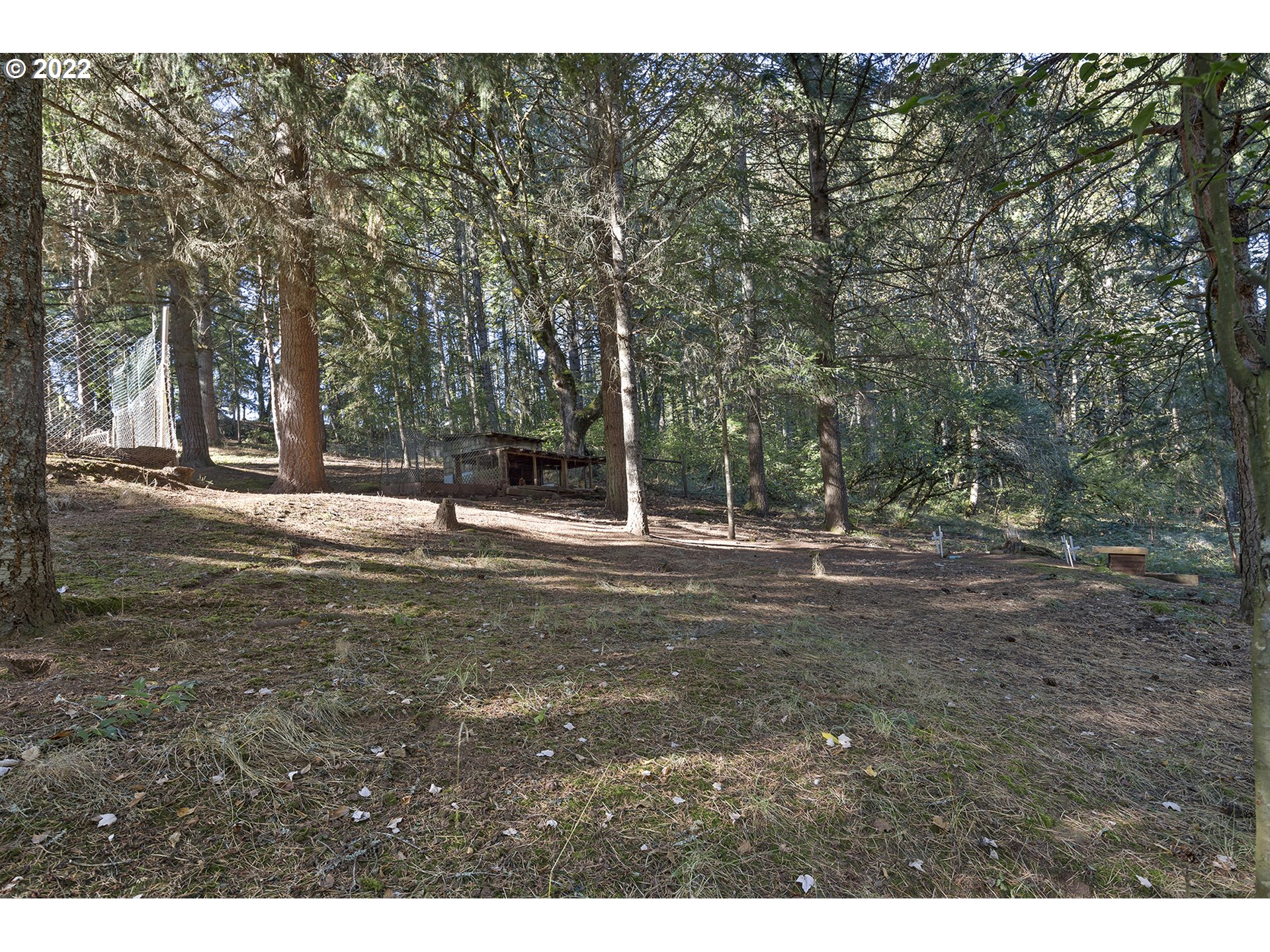21915 South Green Mountain Road Colton, OR 97017 - Photo 31 of 32 a view of outdoor space with trees