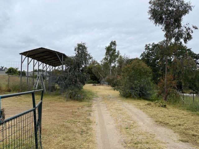 28826 Auberry Road Prather, CA 93651 - Photo 14 of 48 a view of backyard