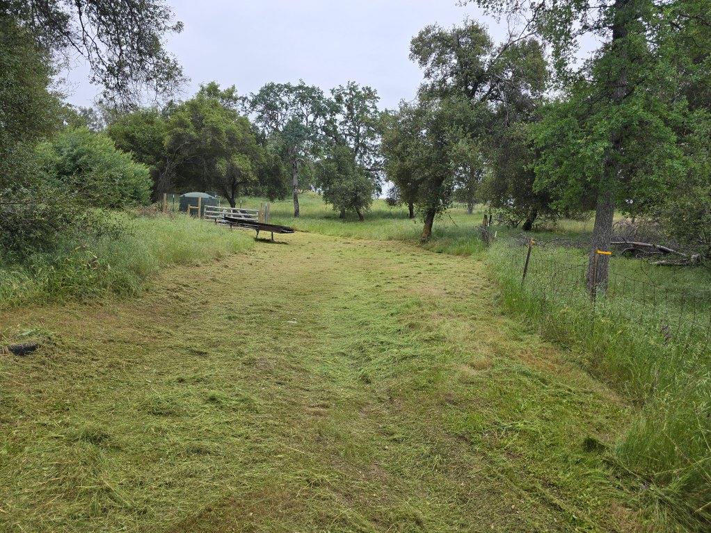 28826 Auberry Road Prather, CA 93651 - Photo 2 of 48 a park with a bench and trees