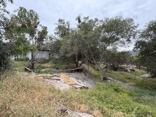 28826 Auberry Road Prather, CA 93651 - Photo 26 of 48 a backyard of a house with lots of green space