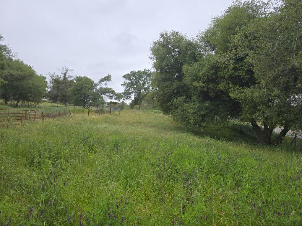 28826 Auberry Road Prather, CA 93651 - Photo 3 of 48 a view of a lake with a yard