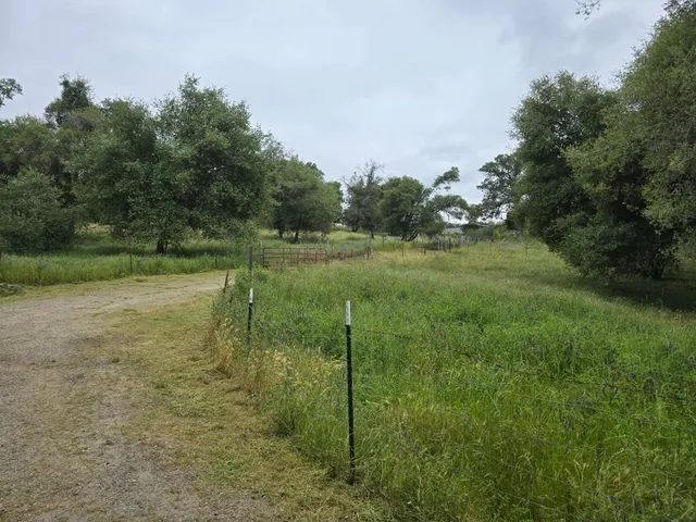 a view of a green field with trees in the background