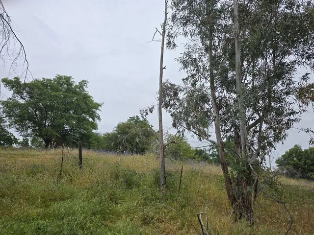 $311,732 | 28826 Auberry Road, Prather, CA 93651