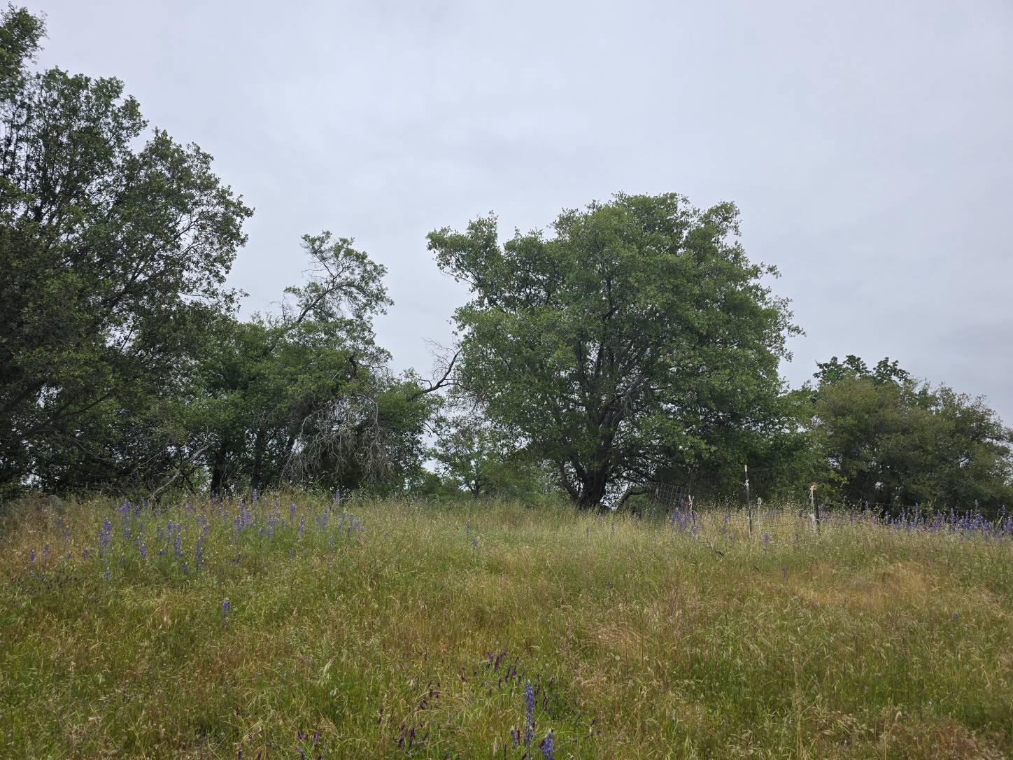 28826 Auberry Road Prather, CA 93651 - Photo 45 of 48