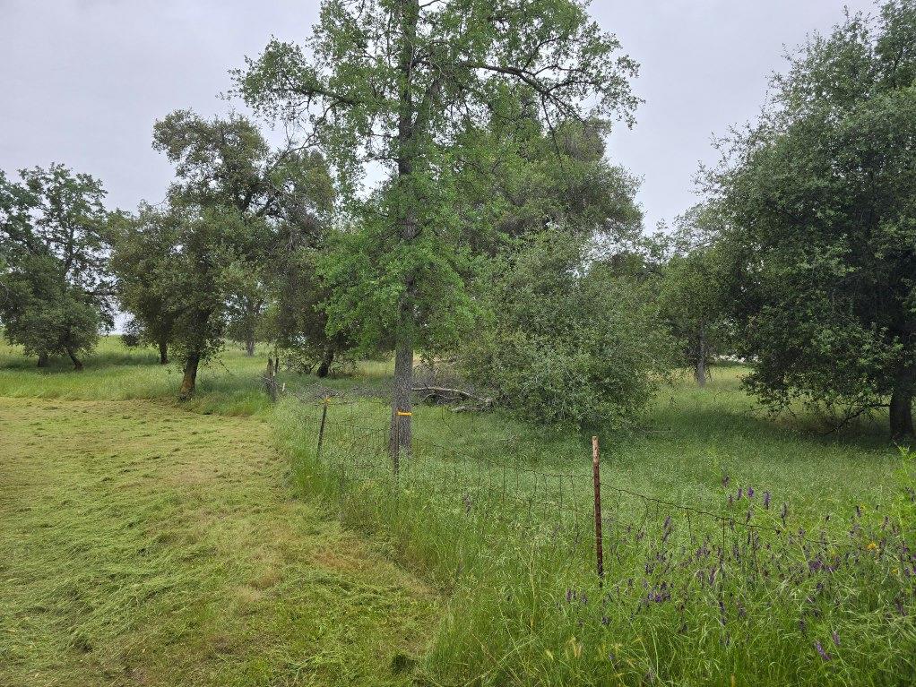 28826 Auberry Road Prather, CA 93651 - Photo 6 of 48 a view of a green field