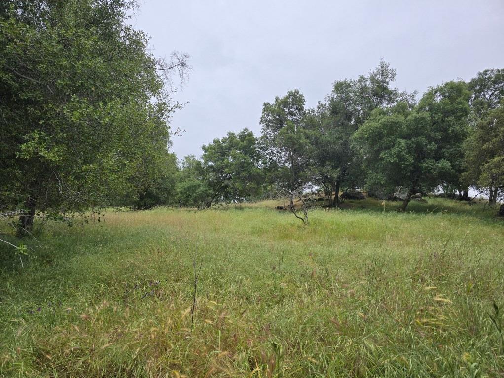 28826 Auberry Road Prather, CA 93651 - Photo 7 of 48