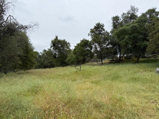 28826 Auberry Road Prather, CA 93651 - Photo 9 of 48 a view of an outdoor space and a yard
