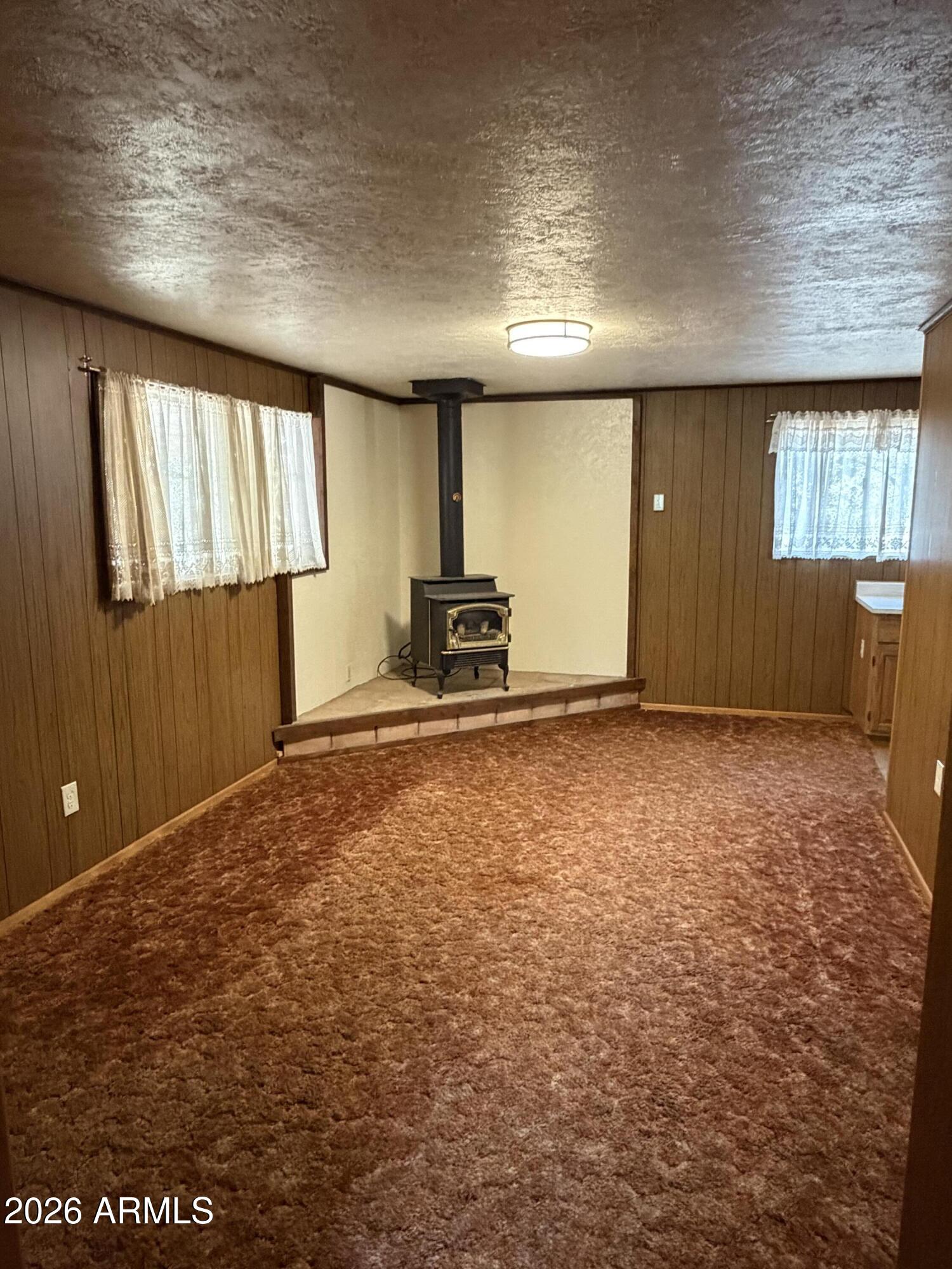 2943 Buckskin Road Overgaard, AZ 85933 - Photo 4 of 10