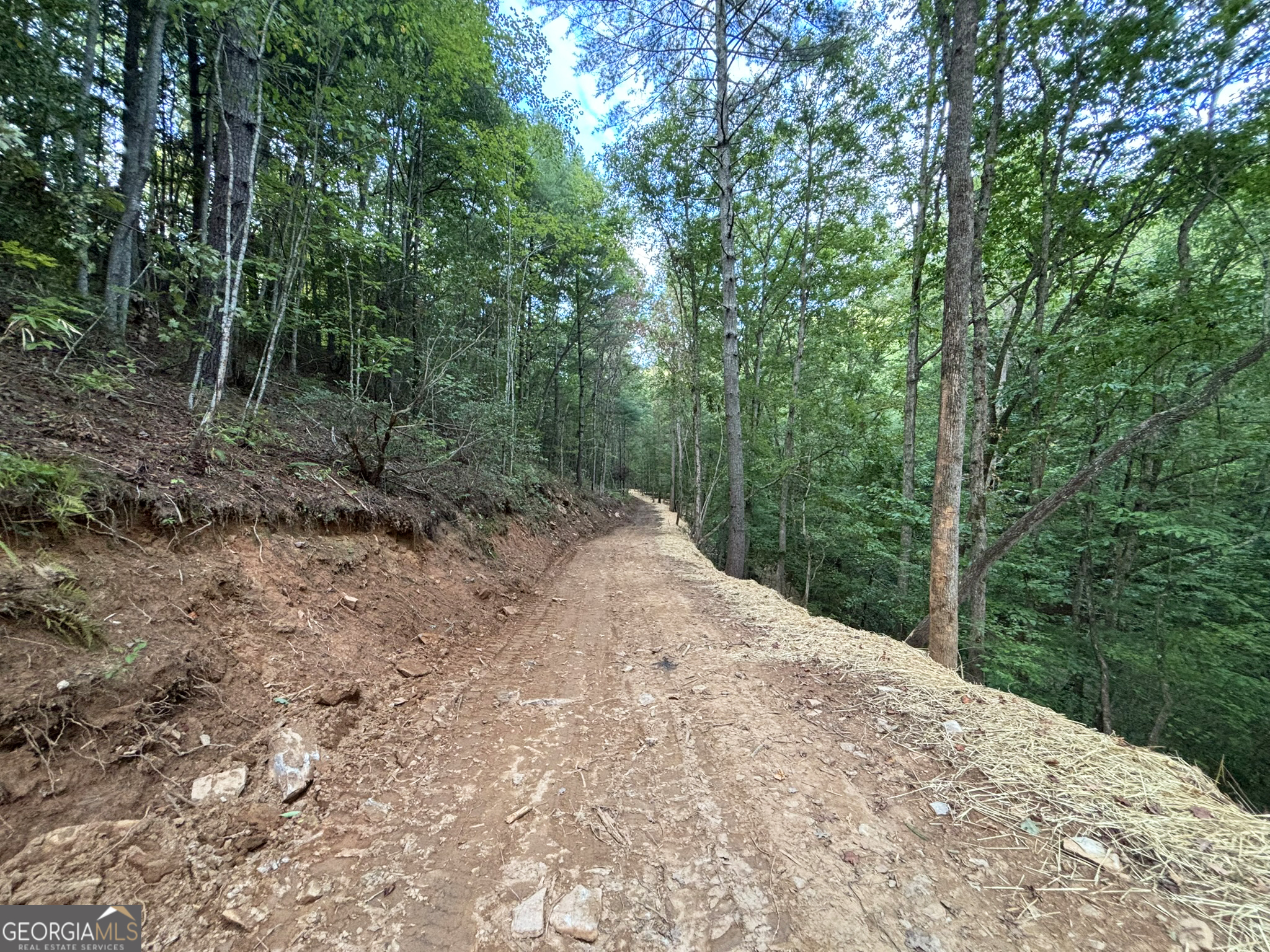396 Mt Springer Road Ellijay, GA 30540 - Photo 40 of 50
