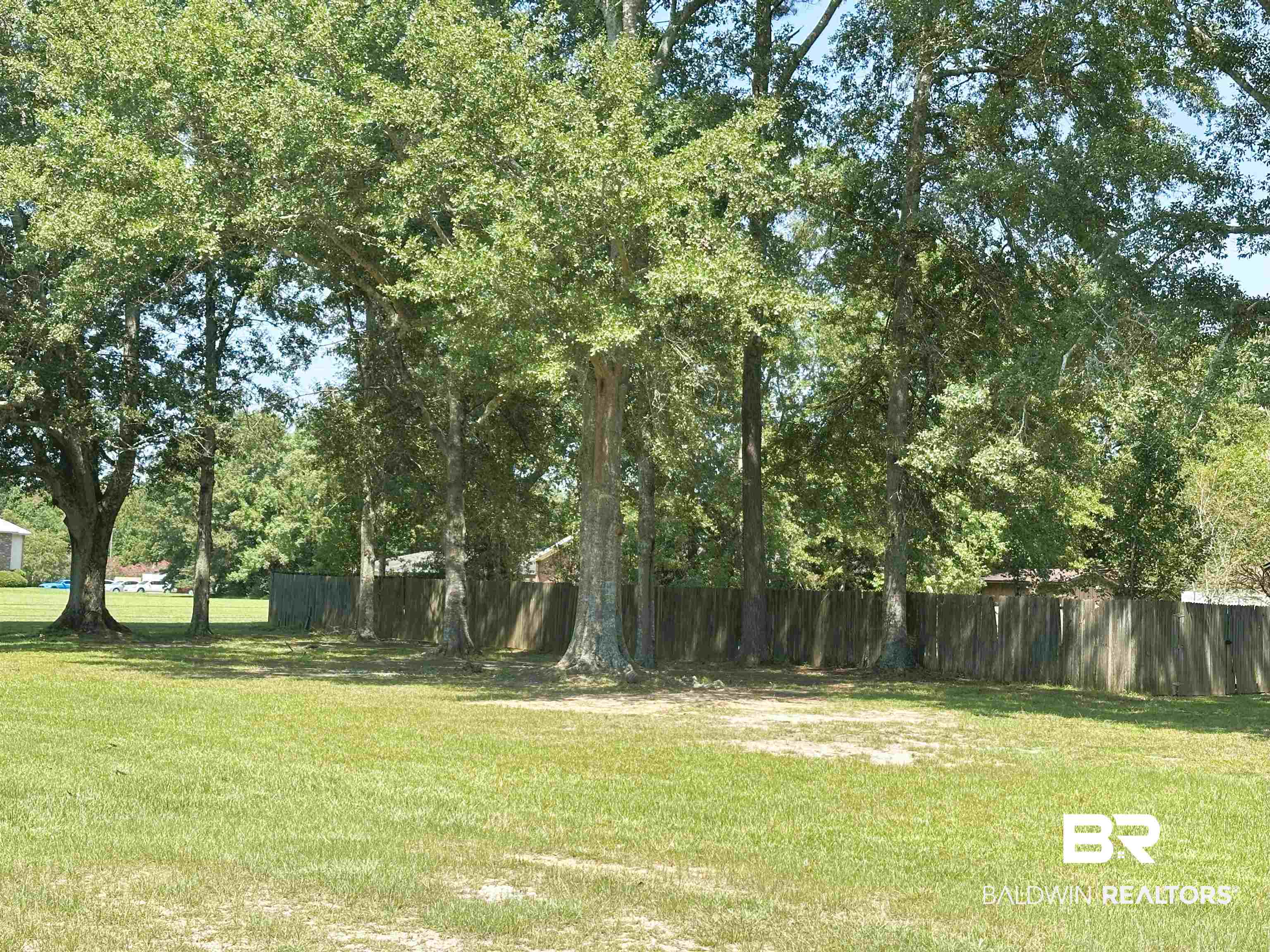 701 McRae Street Atmore, AL 36502 - Photo 9 of 11 View of yard
