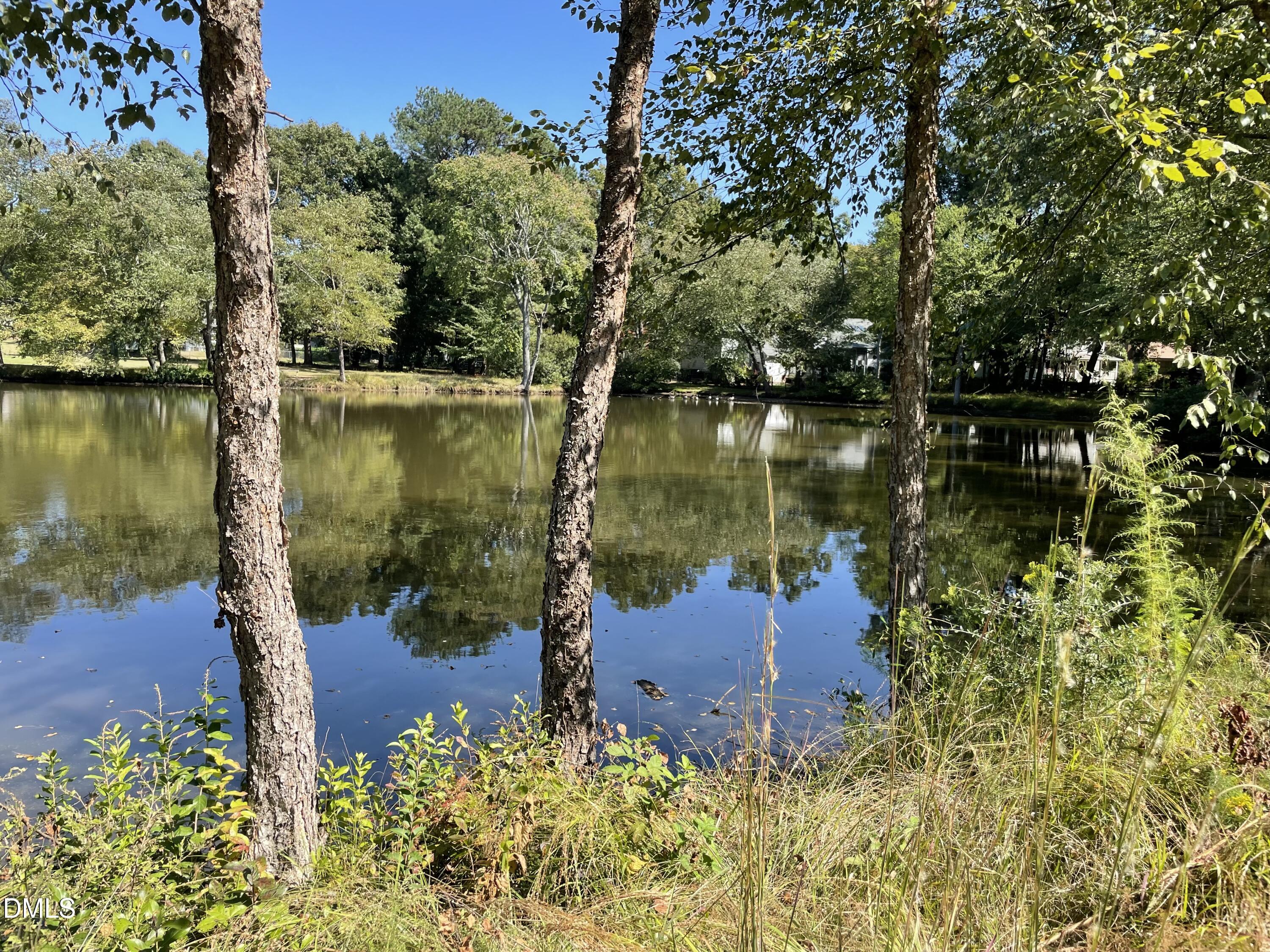 509 Holtz Lane Cary, NC 27511 - Photo 38 of 42 a lake view with a lake view