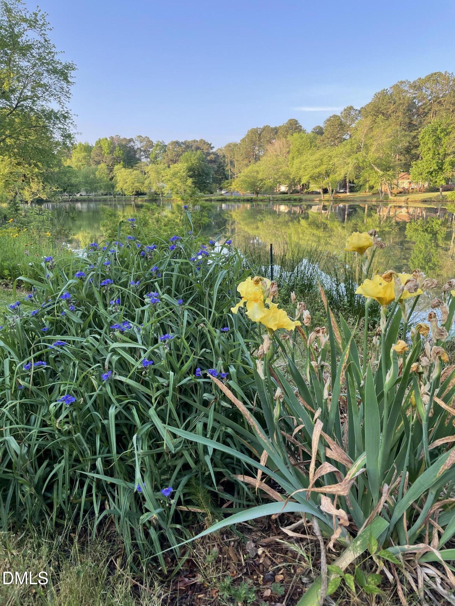 509 Holtz Lane Cary, NC 27511 - Photo 39 of 42 a view of a lake with a mountain in the background