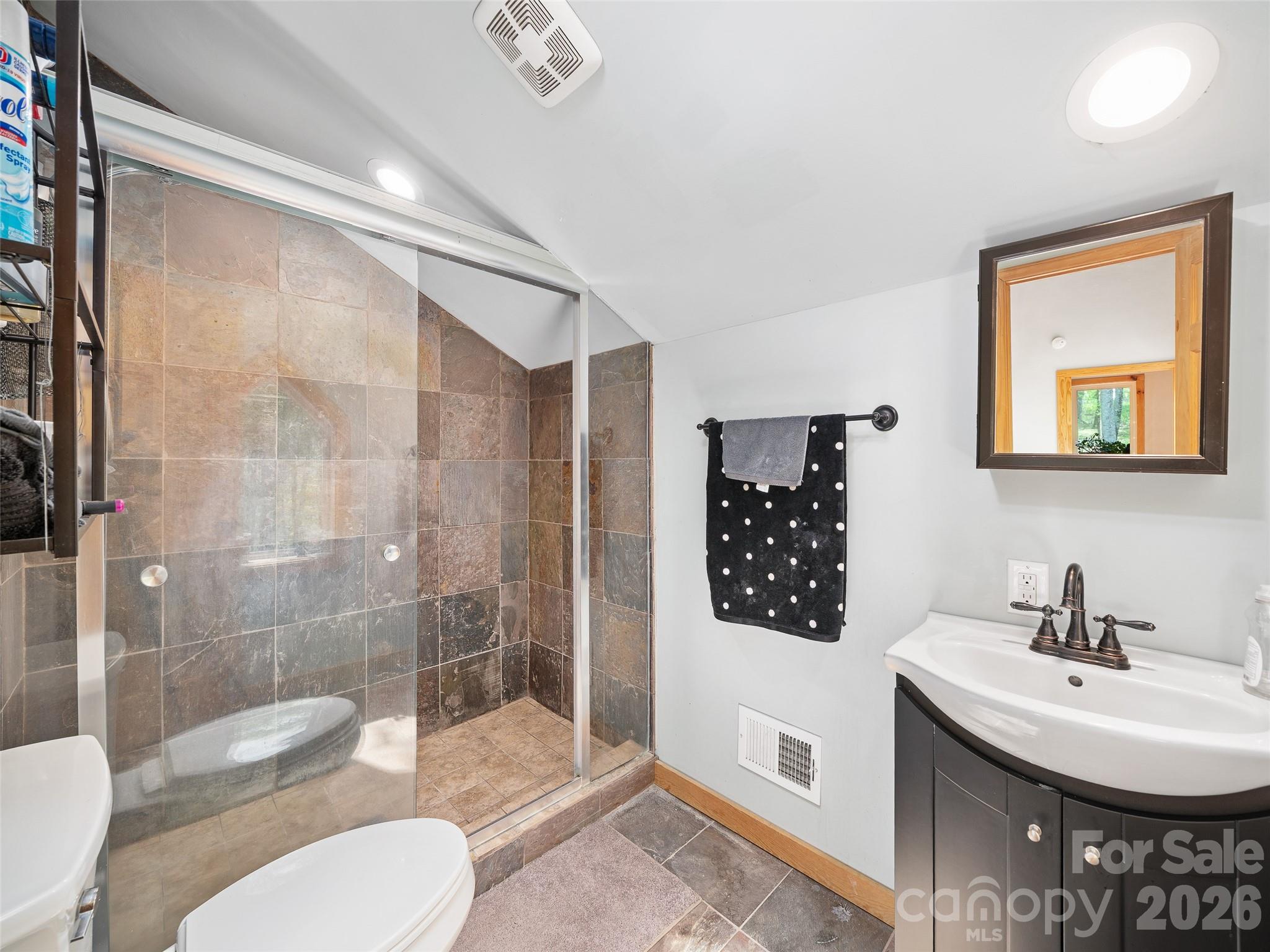 228 Continental Divide Road Spruce Pine, NC 28777 - Photo 20 of 48 a bathroom with a sink a toilet and shower