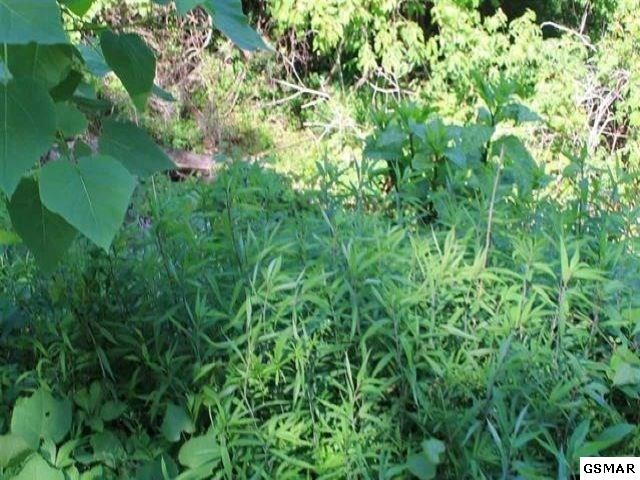 3 Stans Road Gatlinburg, TN 37738 - Photo 5 of 5 Gallery Image 5