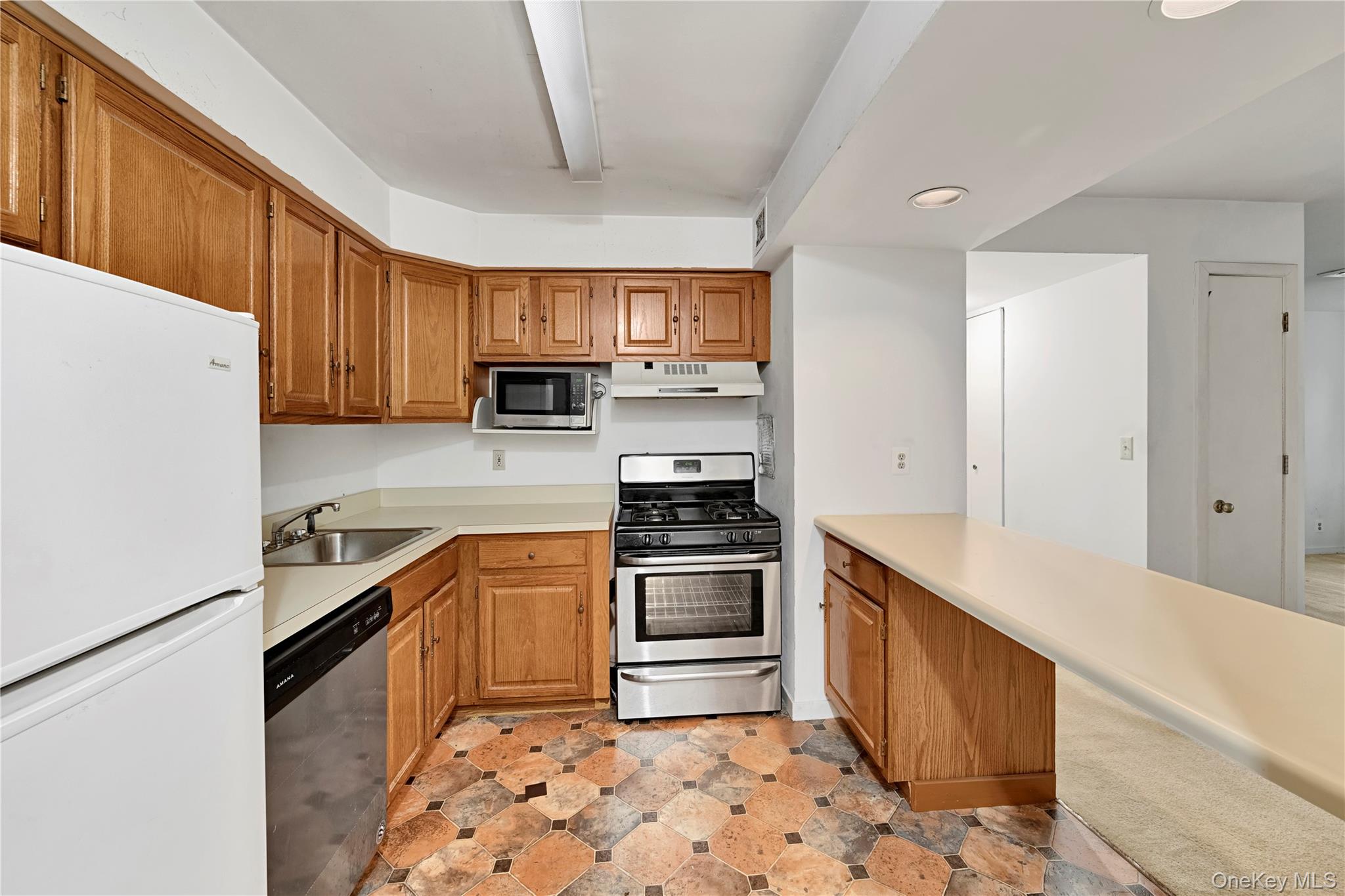 46 Union Street, Unit 2C New Rochelle, NY 10805 - Photo 6 of 16 Well equipped Kitchen