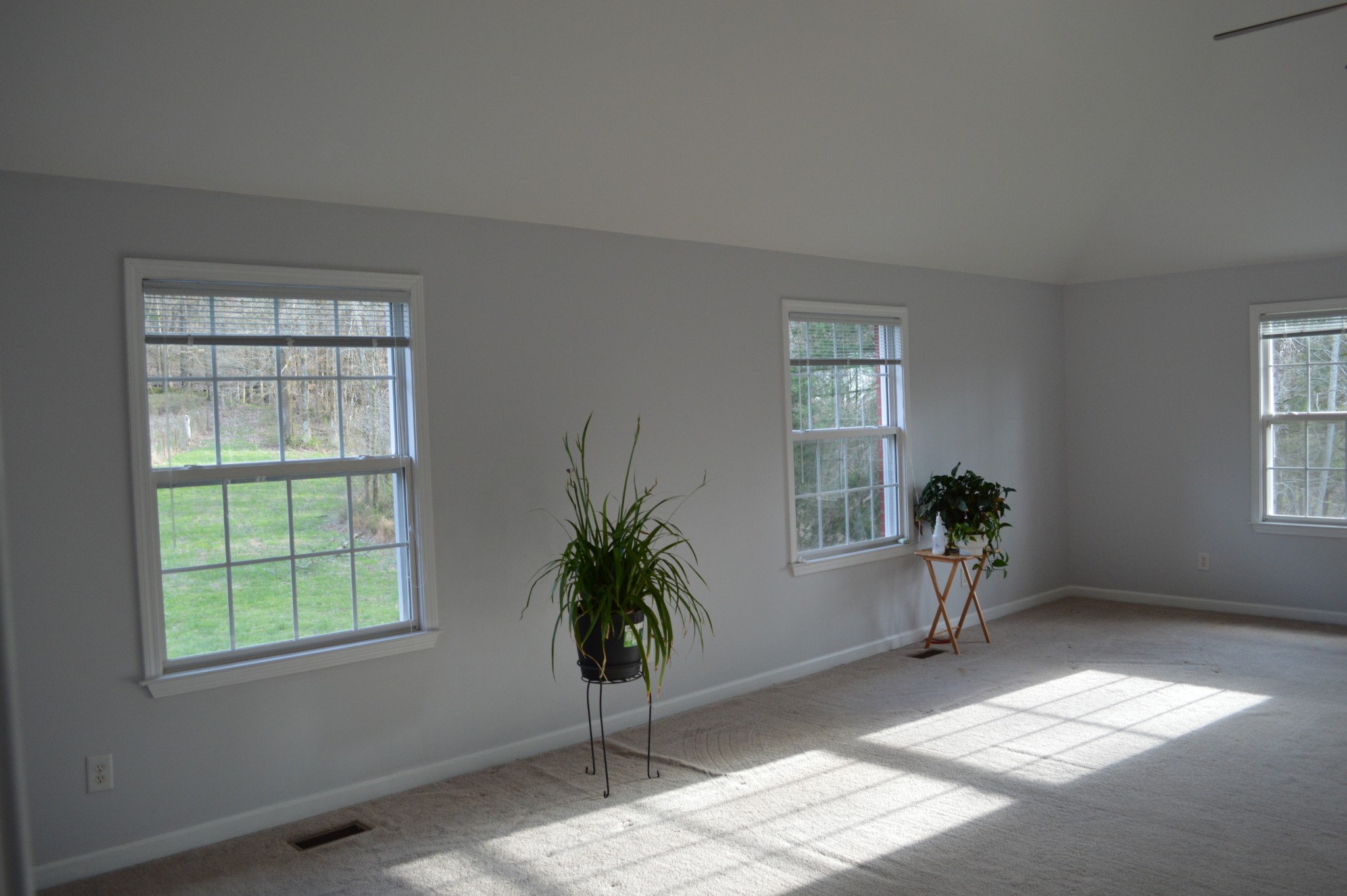 508 Katelyn Drive South Spring Hill, TN 37174 - Photo 40 of 100