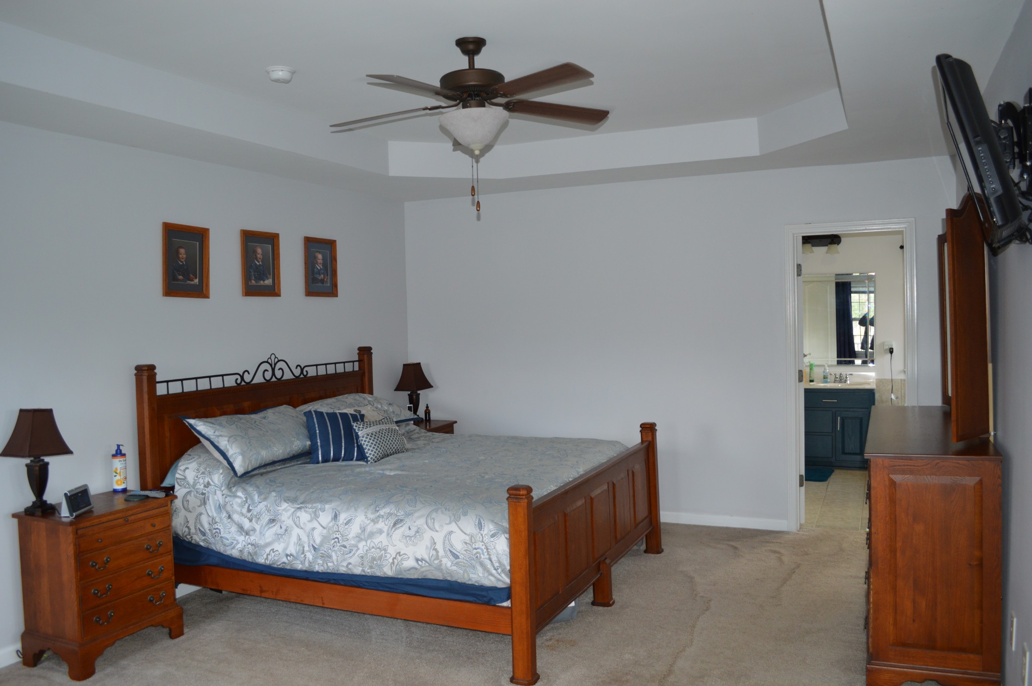 508 Katelyn Drive South Spring Hill, TN 37174 - Photo 56 of 100