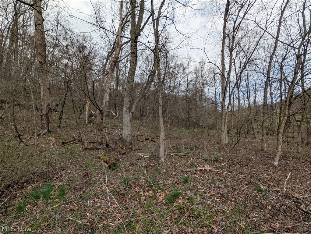 39000 Lees Run Road Cadiz, OH 43907 - Photo 17 of 49
