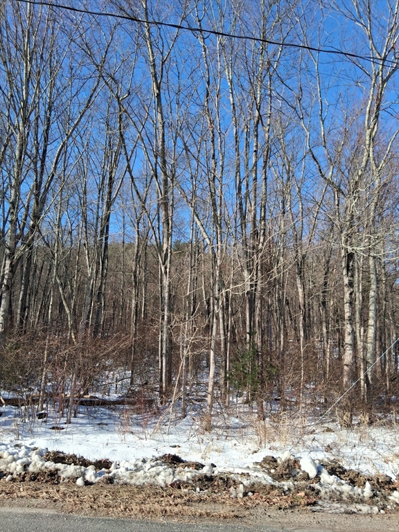 17 Maple Street Southampton, MA 01073 - Photo 12 of 14