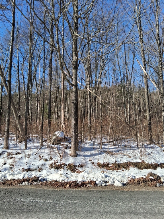 17 Maple Street Southampton, MA 01073 - Photo 13 of 14