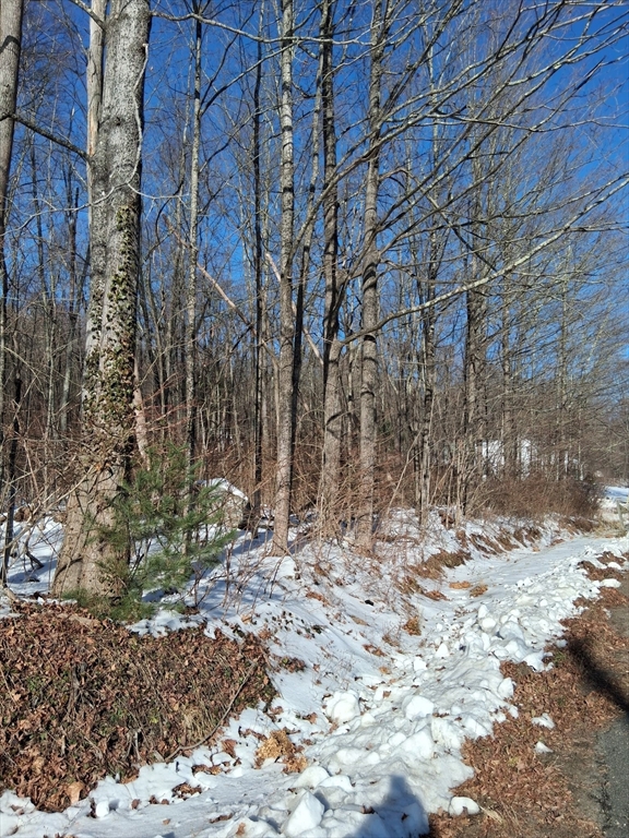 17 Maple Street Southampton, MA 01073 - Photo 6 of 14