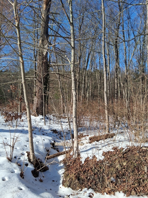 17 Maple Street Southampton, MA 01073 - Photo 7 of 14