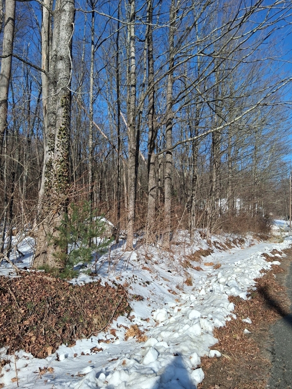 17 Maple Street Southampton, MA 01073 - Photo 8 of 14