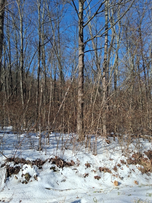 17 Maple Street Southampton, MA 01073 - Photo 9 of 14