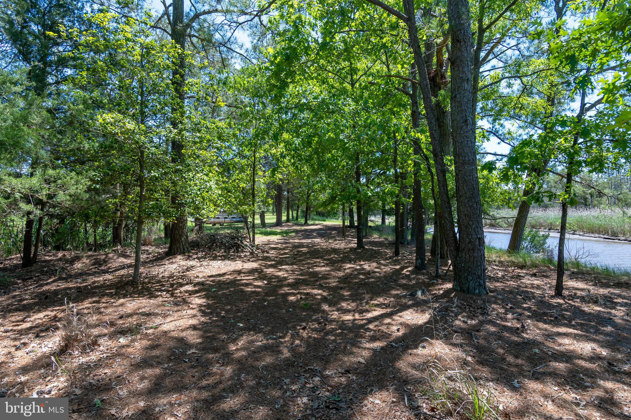 1604 Town Point Road Cambridge, MD 21613 - Photo 14 of 55 Gallery Image 14