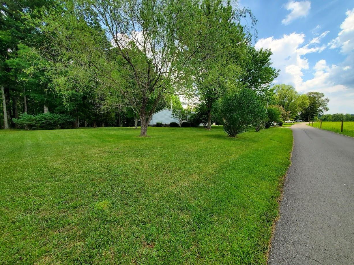 51 Brushy Ridge Road McKee, KY 40447 - Photo 5 of 21 Photo 5