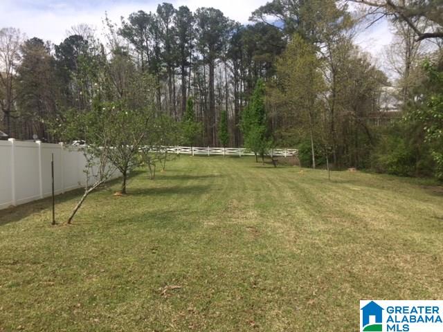5689 Bryan Church Road Dora, AL 35062 - Photo 4 of 20