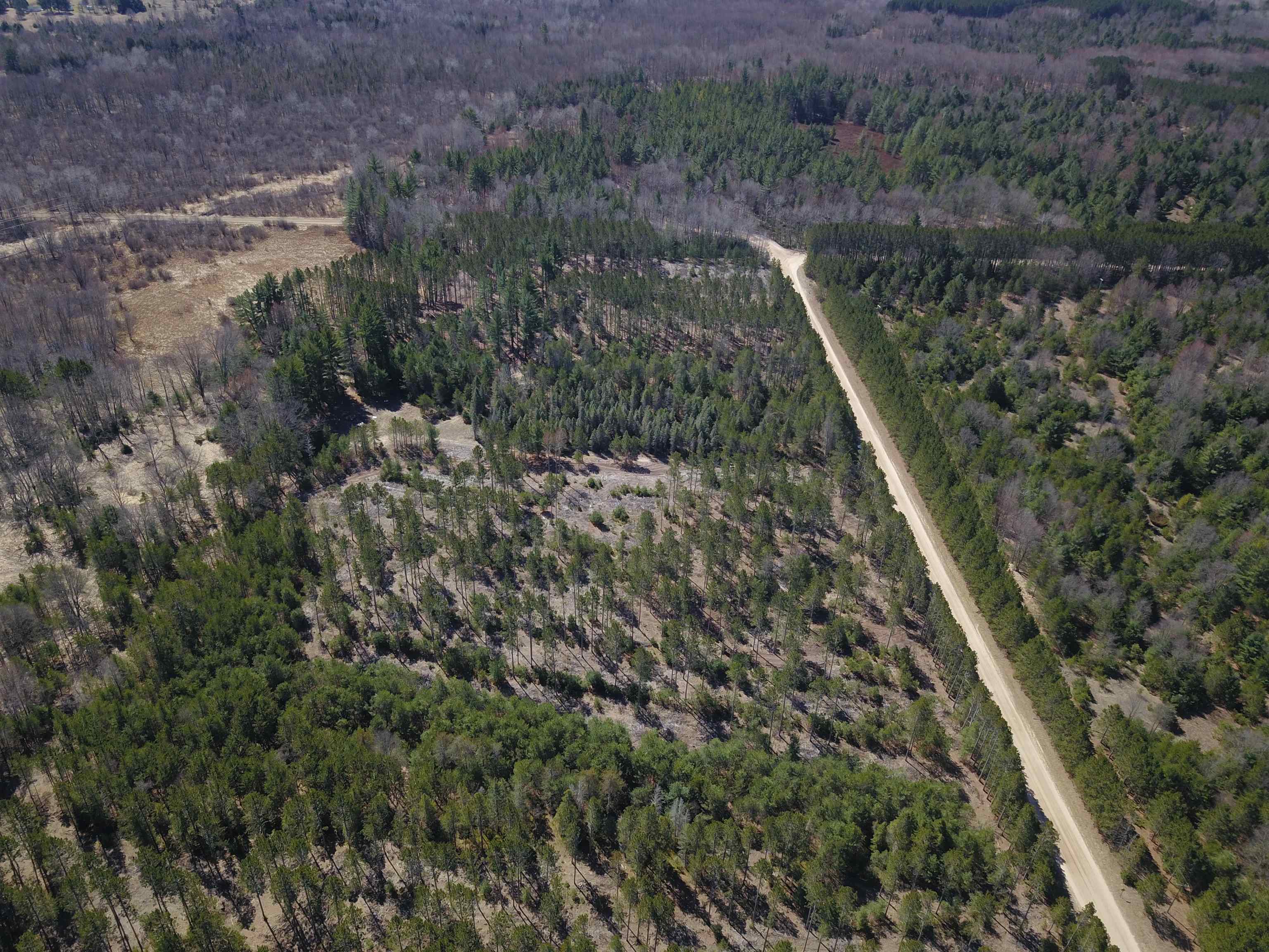10-acres Niemi Road Kaleva, MI 49645 - Photo 10 of 24