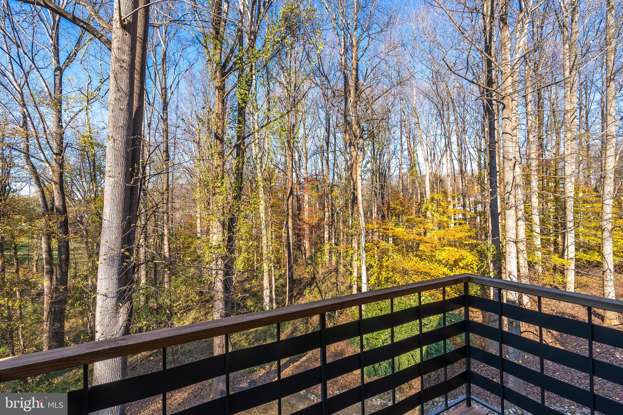 1022 Towlston Road McLean, VA 22102 - Photo 77 of 102 Gallery Image 77