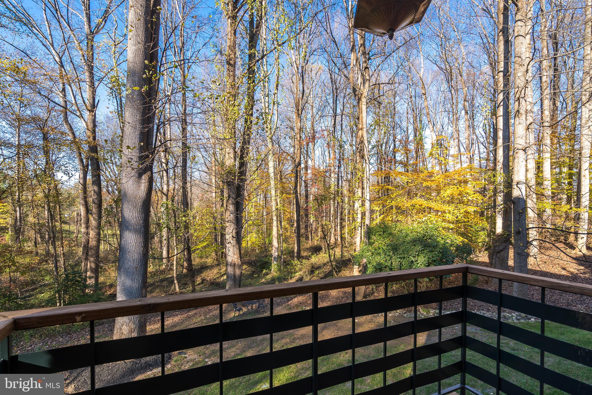 1022 Towlston Road McLean, VA 22102 - Photo 78 of 102 Gallery Image 78
