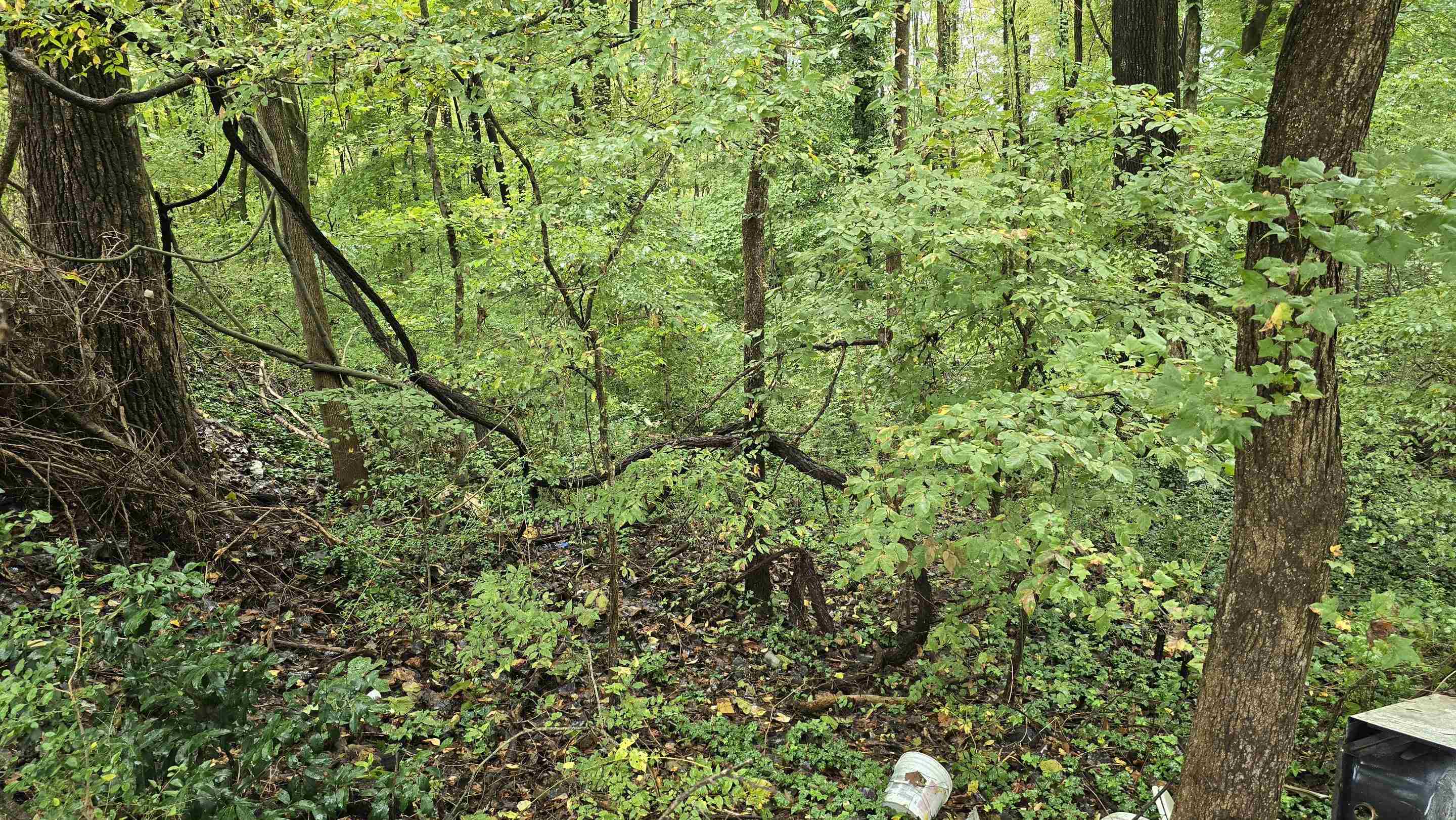 0 Clower Road Memphis, TN 38109 - Photo 6 of 6 a view of a yard