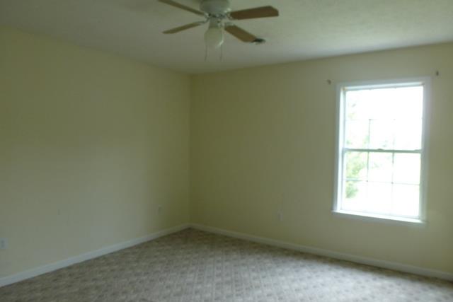 10271 Buckner Ridge Road Bon Aqua, TN 37025 - Photo 7 of 10
