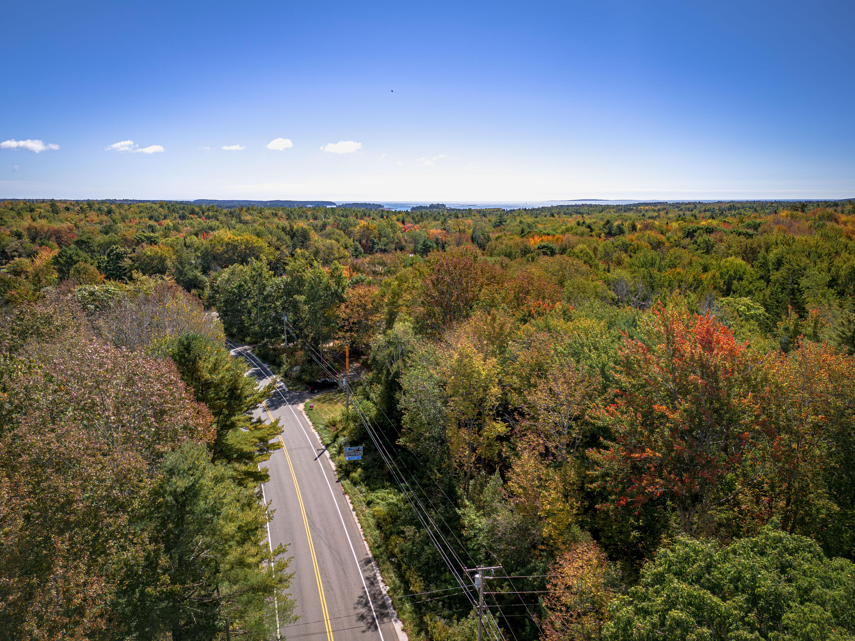 183 Seal Harbor Road Spruce Head, ME 04859 - Photo 15 of 15 Tree height