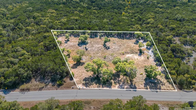 a view of a yard with trees